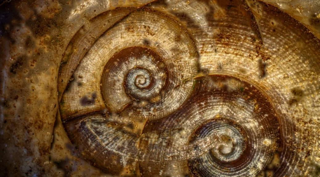 cezary werpachowski obrazy nieznane